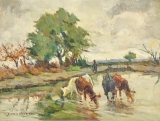AgrandarImgen