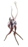 AgrandarImgen