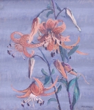 AgrandarImgen