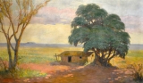 AgrandarImgen