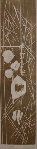 AgrandarImgen
