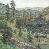 AgrandarImgen