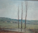 AgrandarImgen