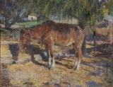AgrandarImgen