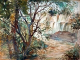 AgrandarImgen