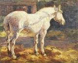AgrandarImgen