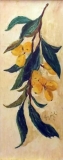 AgrandarImgen