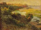 AgrandarImgen