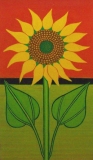 AgrandarImgen